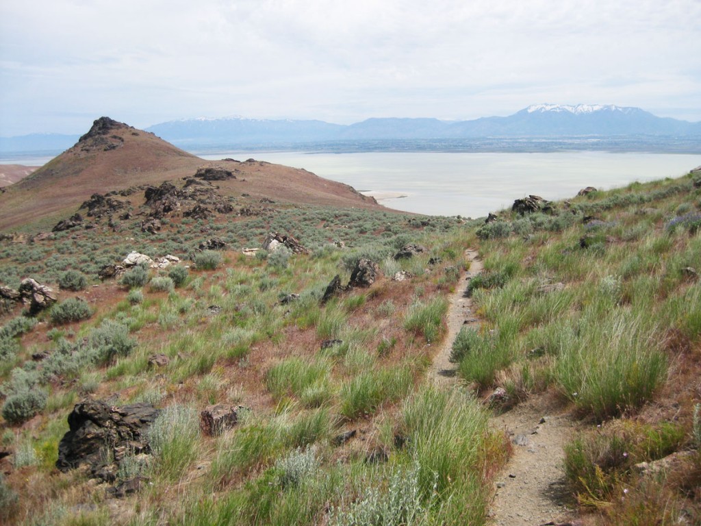 Looking down the trail from about a mile into the hike.