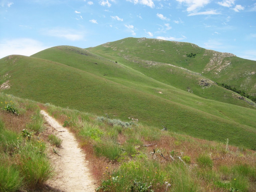 The upper slopes of Frary Peak.