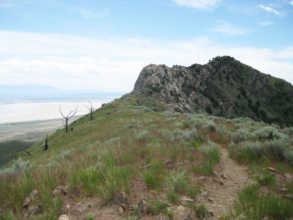 Looking toward the summit.
