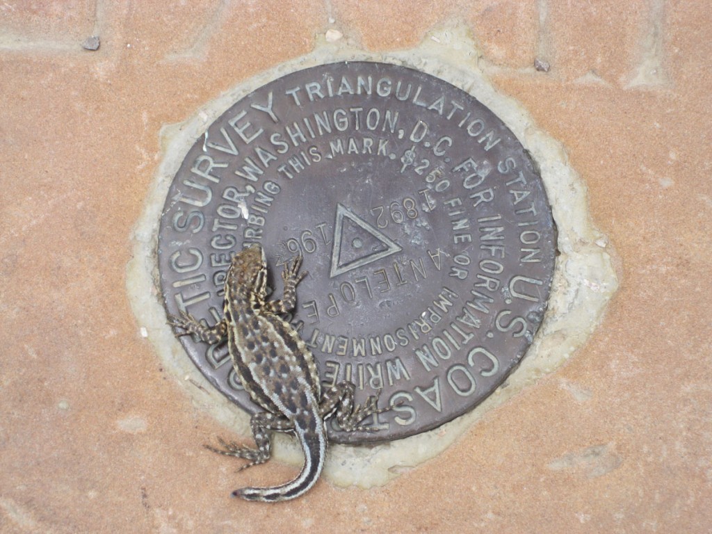 The government benchmark on top, with a critter.