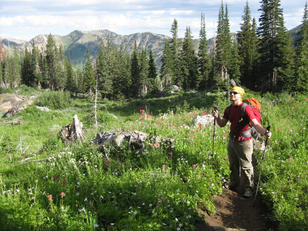 Crisco enjoying wildflowers on the approach. Crisco enjoying wildflowers on the approach.