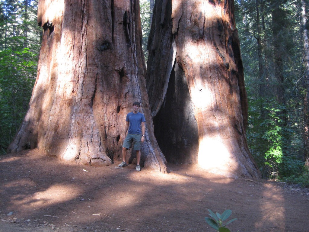 Me and the giant sequoias.