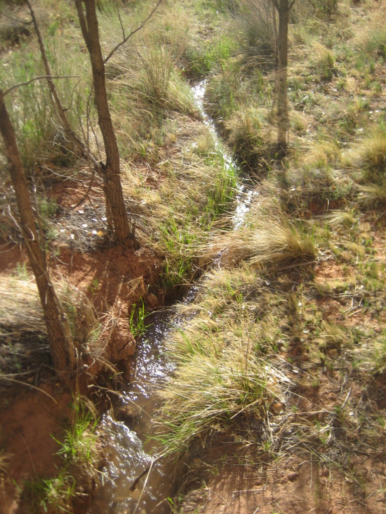 Some couple hundred year old Native American irrigation ditches.