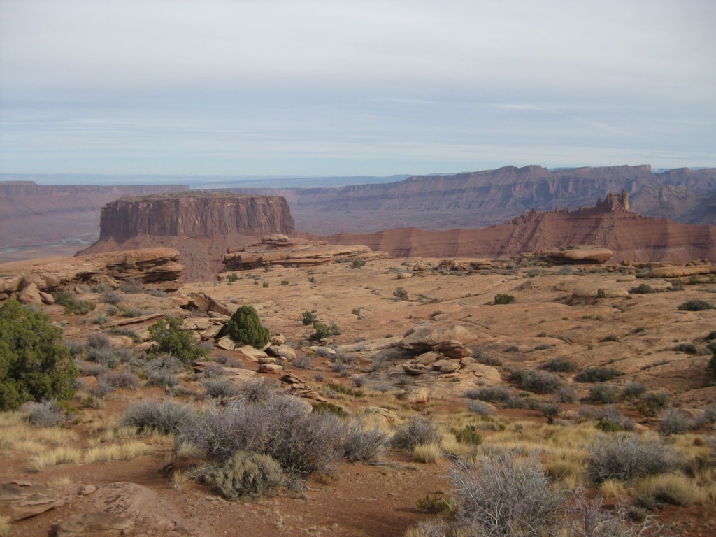 To get an idea of the size of the top, click this photo and see if you can find Spencer.