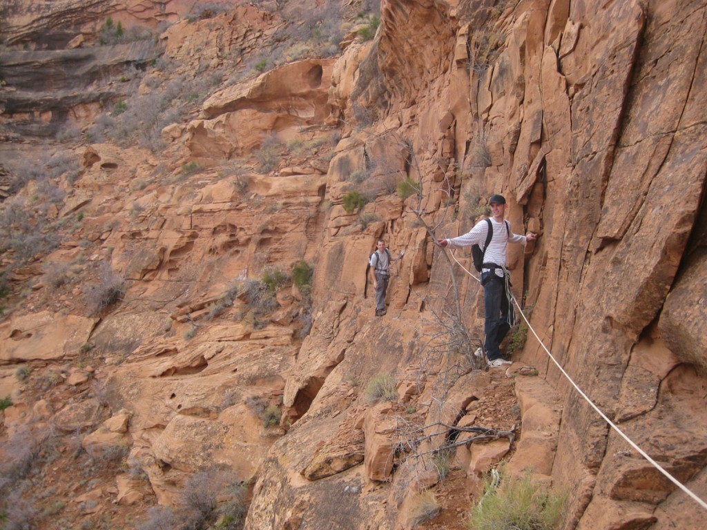 On the horizontal fixed lines.