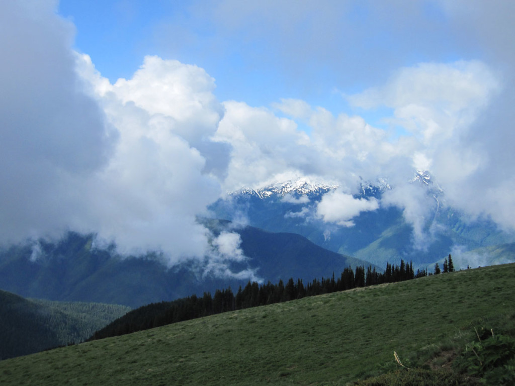 The central peaks of the Olympic Range from Hurricane Ridge in Olympic National Park.