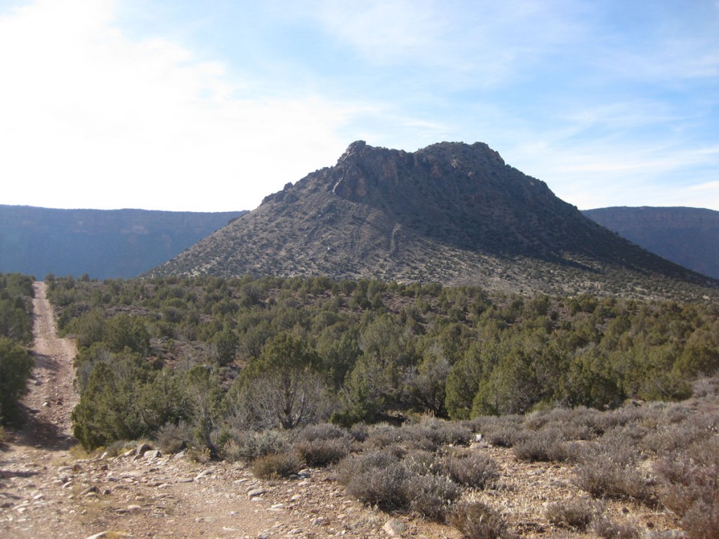 Looking toward the mountain from the approach road.