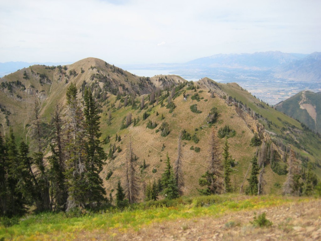 The top of Santaquin Peak from the top of Loafer Mountain.