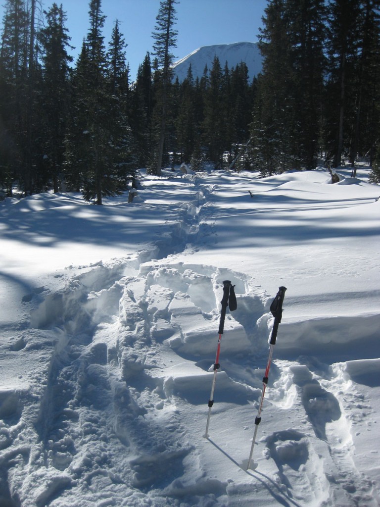 Our path through the snow. Mt. Mellenthin, out goal mountain, is in the background. Our path through the snow. Mt. Mellenthin, out goal mountain, is in the background.