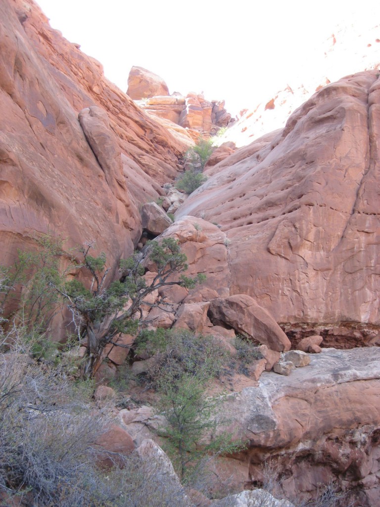Looking up the ramp/gully from its base Looking up the ramp/gully from its base